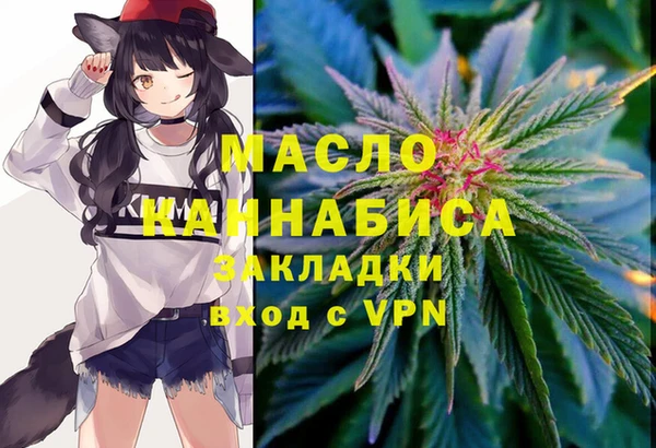 хмурый Осинники